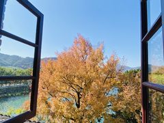 -蒋氏故居
