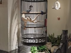 -清真·京华源铜锅涮肉(丰庆店)