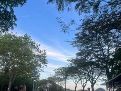 -长洲岛