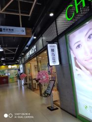 -YESIDO椰岛造型