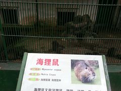 -广东茂名森林公园