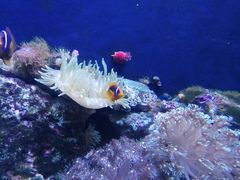 -成都浩海立方海洋公园