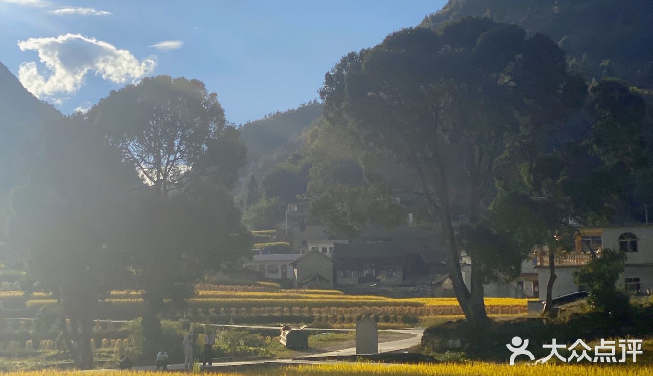 贵阳周边限定秋景/贵定腊利绝美梯田