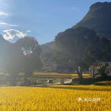 贵阳周边限定秋景/贵定腊利绝美梯田