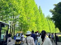 -采石矶景区