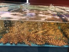 -阿伟海鲜楼·福建菜(延寿店)
