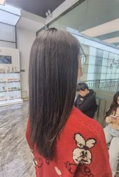 -YESIDO椰岛造型