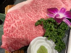 -俺的焼肉(銀座9丁目店)
