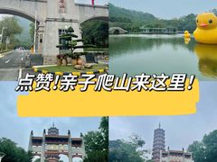-大雁山风景区