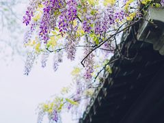 -老门东历史文化街区