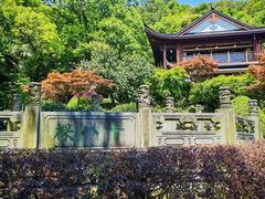 -十八棵（老龙井）御茶园(老龙井店)