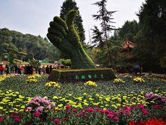 -富乐山