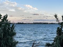 -漕湖湿地公园