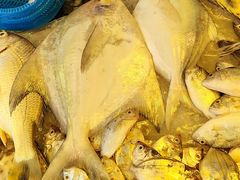 -阳江市第一市场