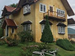 -黄色小屋