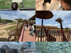 -鄂尔多斯野生动物园