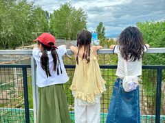 -青藏高原野生动物园