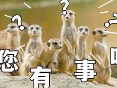-广州长隆野生动物世界