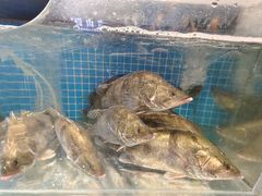 -胖姐渔村(中源大道店)