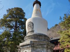 -大觉寺-停车场