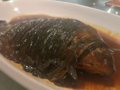 -贴阁碧(百丈东路店)