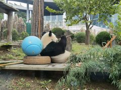 -大连森林动物园