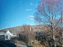 -阿尔山市大兴安岭奥伦布坎景区