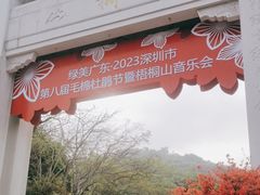 -梧桐山风景名胜区