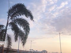 -乌布德传统市场
