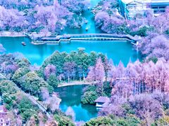 -九曜山