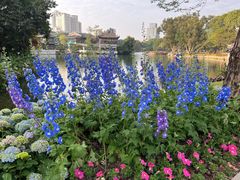 -荔湾湖公园