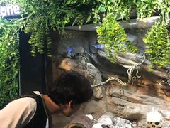 -成都浩海立方海洋公园