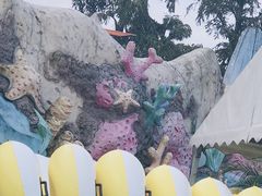-重庆海昌加勒比海水世界