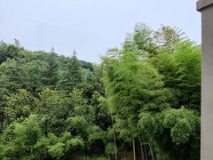 -山湖温泉