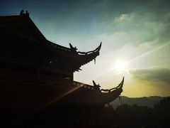 -东莞市大岭山森林公园