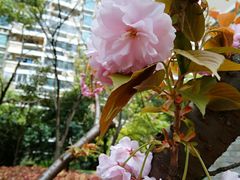 -花草间花行(法华镇路店)
