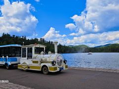 -五营红松林海景区