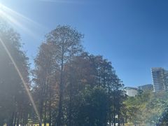 -四海公园(南山区)