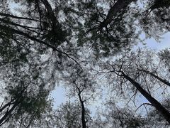 -杭州植物园
