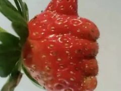 -香草山咖啡店·外教英语角·自习室(盛世商都店)