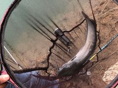 -仙海旅游度假区