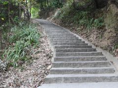 -火炉山森林公园