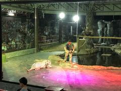 -清迈夜间动物园