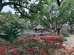 -申粤轩酒楼·三十年粤菜经典(丁香花园店)