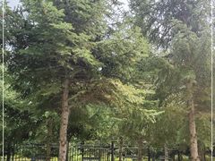 -长春世界雕塑园冰雪艺术天地