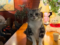 -咖法森林·咖啡  酒吧(天河店)