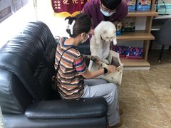 -A猫a狗全科·犬猫异宠·芥西宠物医院(南开总院)
