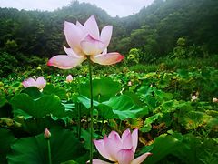 -梁野山景区