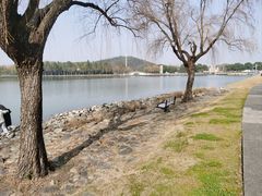 -上海月湖雕塑公园