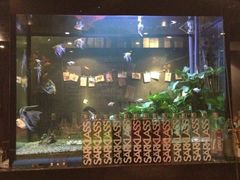 iphone_upload_pic-Strawberry Butterfly草莓蝴蝶日式水果挞